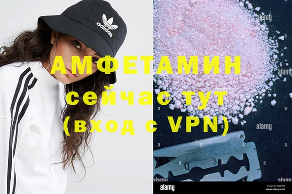 индика Нея