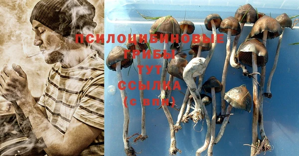 индика Нея