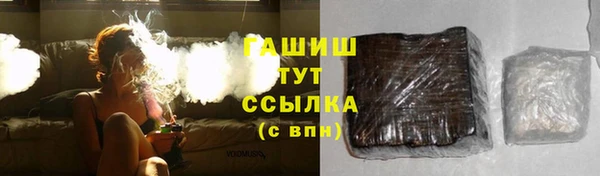 индика Нея