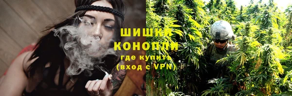 индика Наволоки