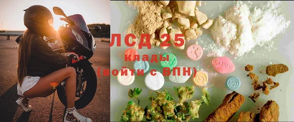 индика Наволоки
