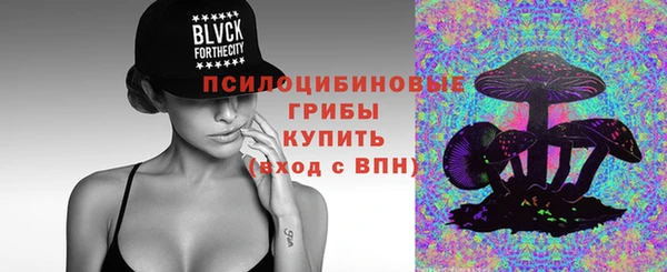 хмурый Надым