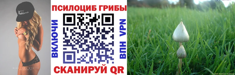 мега зеркало  Раменское  Галлюциногенные грибы прущие грибы  как найти наркотики 