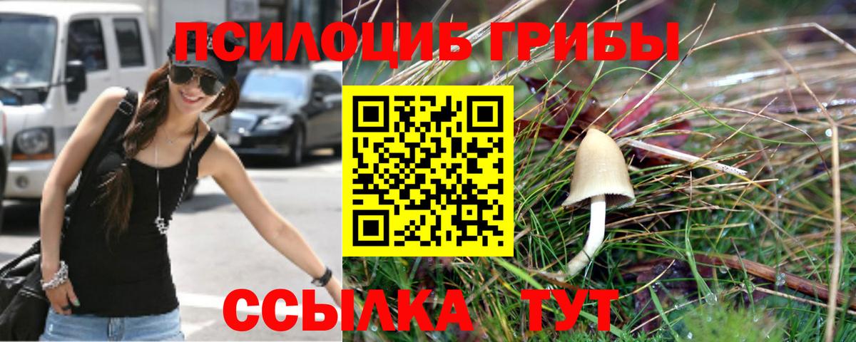 Галлюциногенные грибы прущие грибы Раменское